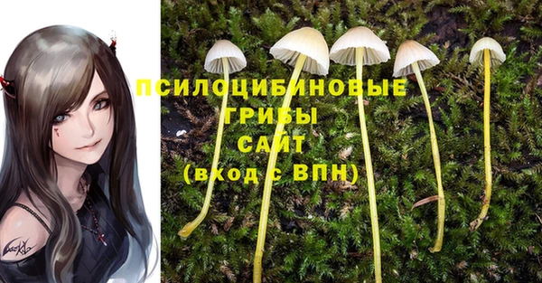 кокс Абаза