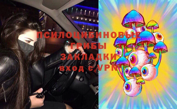 дурь Абинск