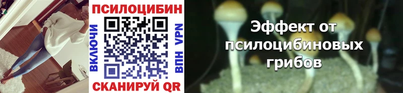 цены   мега как войти  Галлюциногенные грибы Psilocybe  Черемхово 