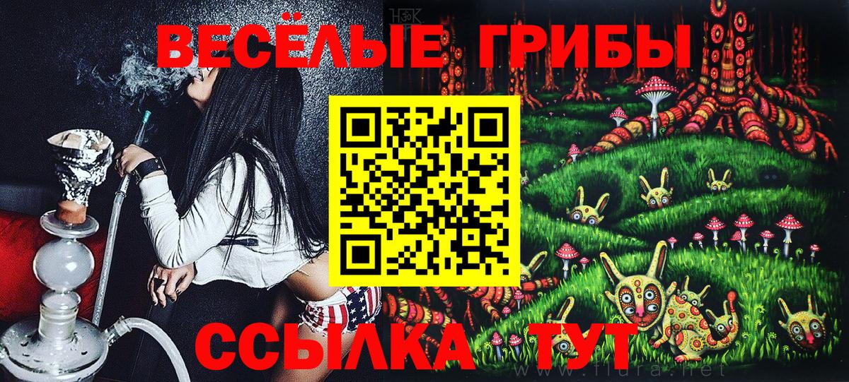 Псилоцибиновые грибы мицелий Черемхово