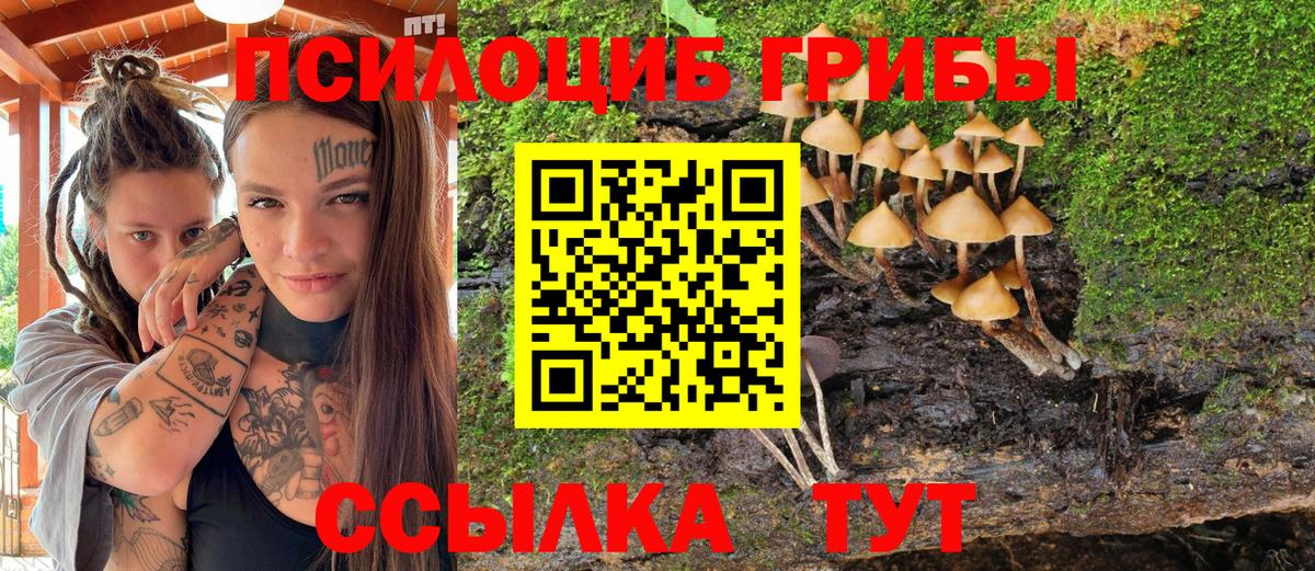 Черемхово  Псилоцибиновые грибы Psilocybe  Псилоцибиновые грибы MAGIC MUSHROOMS  Вход с VPN 